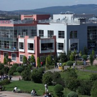 Gallery Okan University