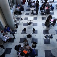 Gallery Okan University