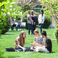 Gallery Okan University