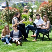 Gallery Okan University